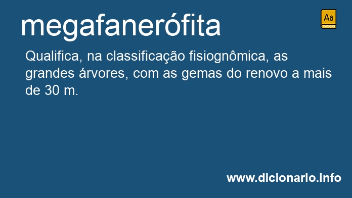 Significado de megafanerfita