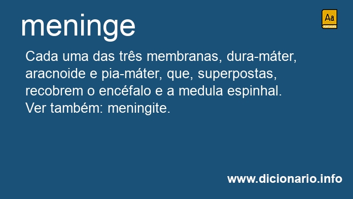 Significado de meninge