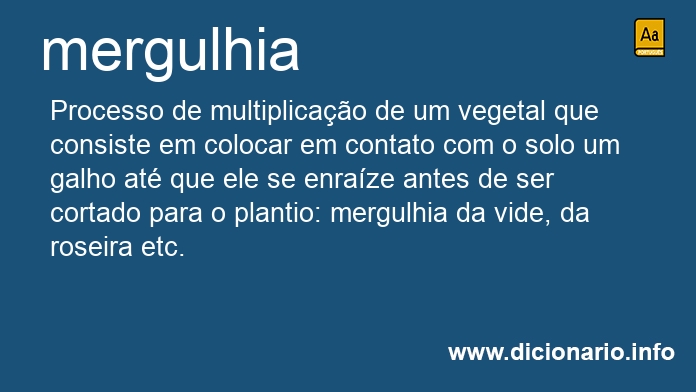 Significado de mergulhia