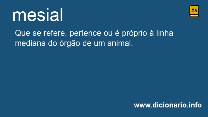Significado de mesial