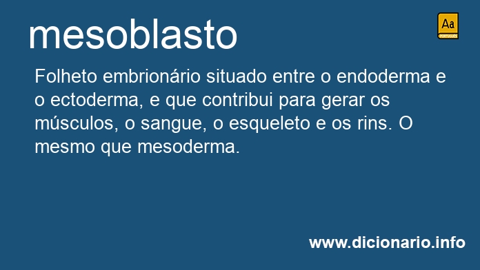 Significado de mesoblasto