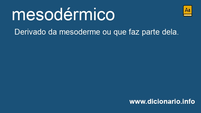 Significado de mesodrmica