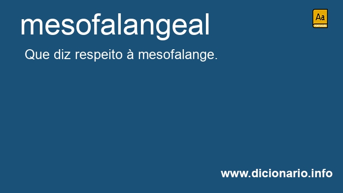 Significado de mesofalangeal