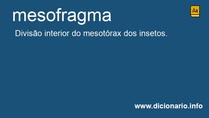 Significado de mesofragma