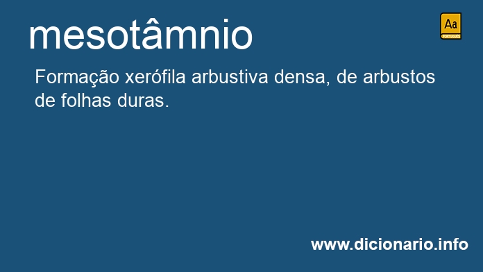 Significado de mesotmnio
