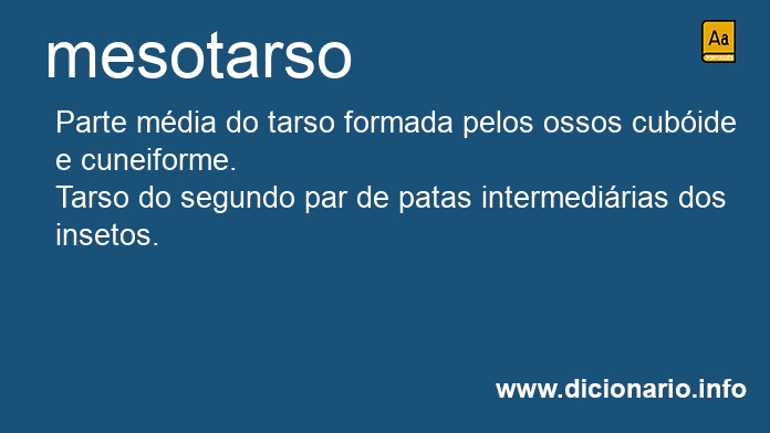 Significado de mesotarso