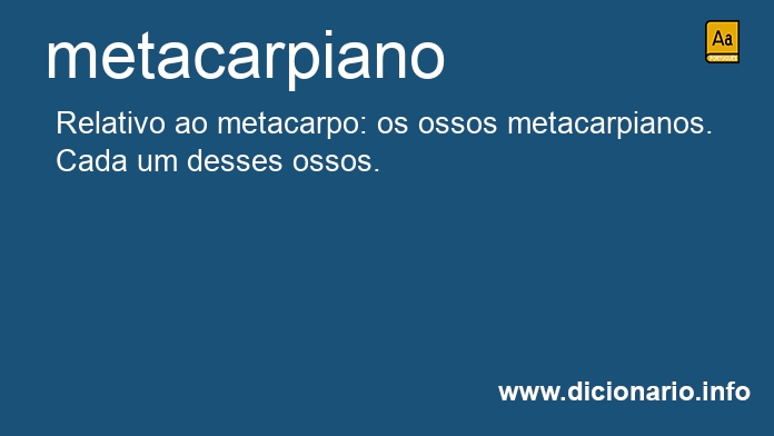 Significado de metacarpiano