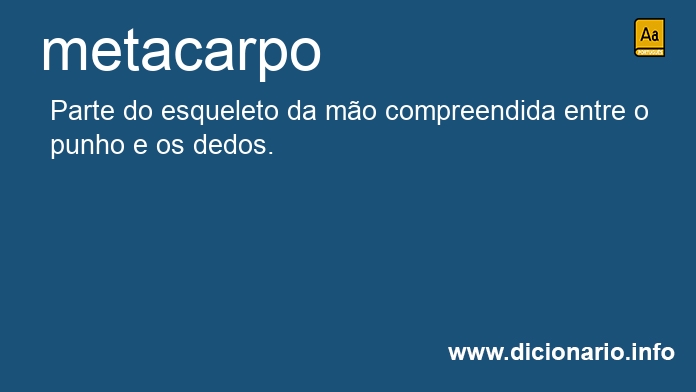 Significado de metacarpos