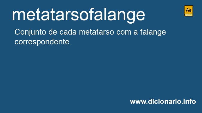 Significado de metatarsofalange