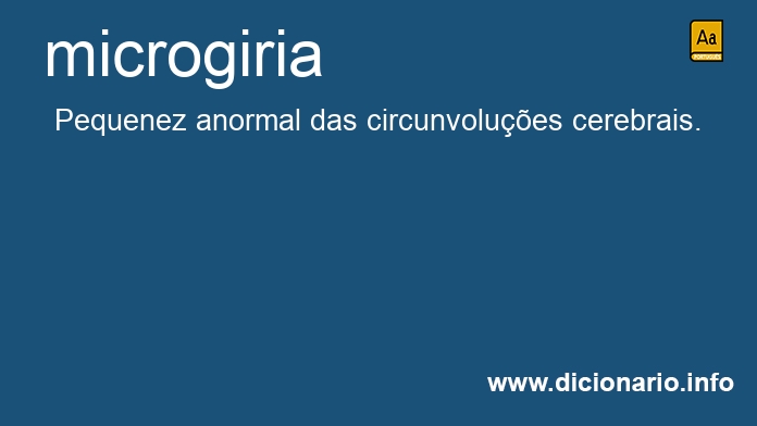 Significado de microgiria
