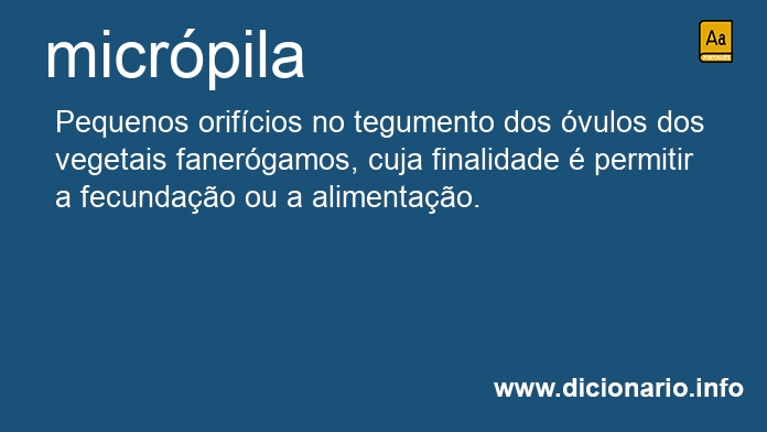 Significado de micrpila