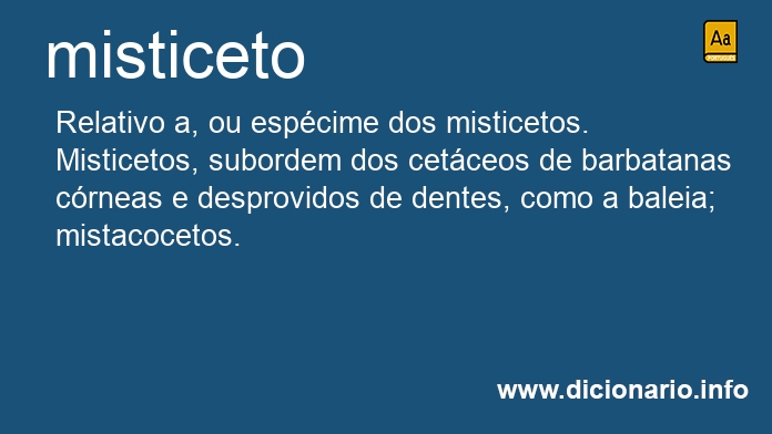 Significado de misticeto