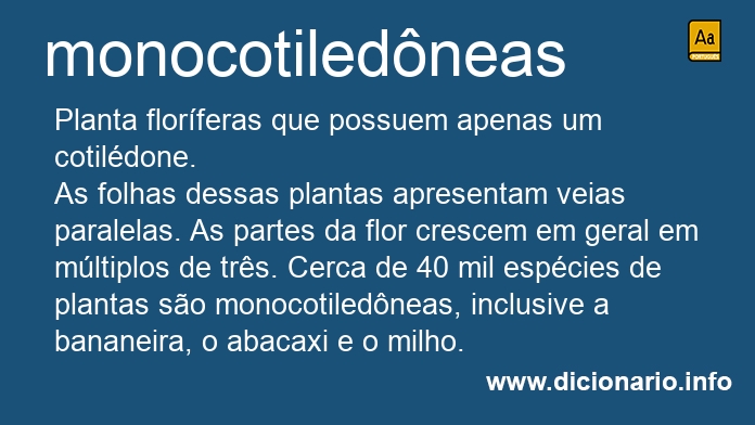 Significado de monocotiledneas