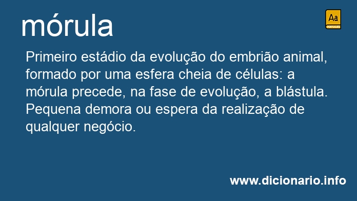 Significado de mrula