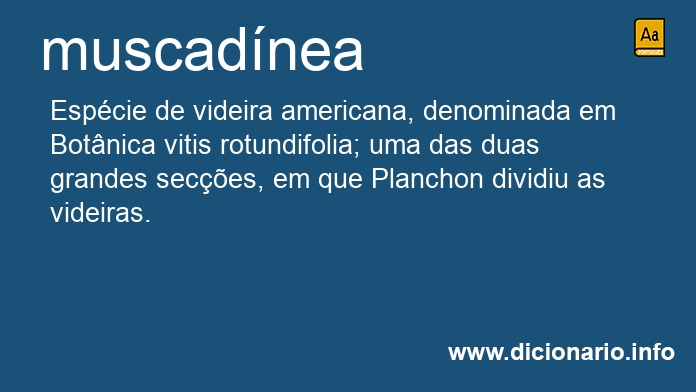 Significado de muscadnea