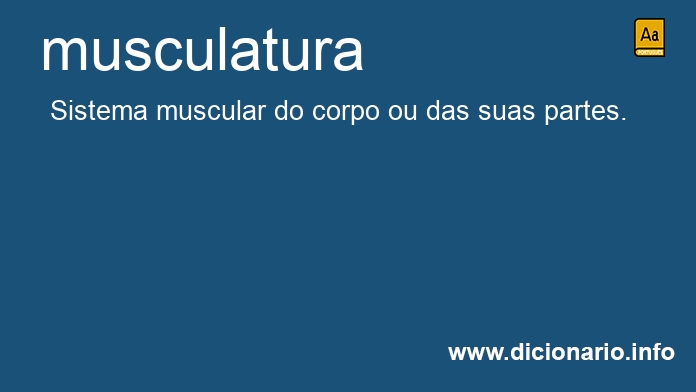 Significado de musculatura