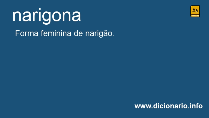 Significado de narigona