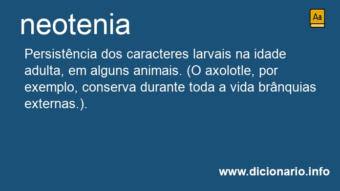 Significado de neotenia