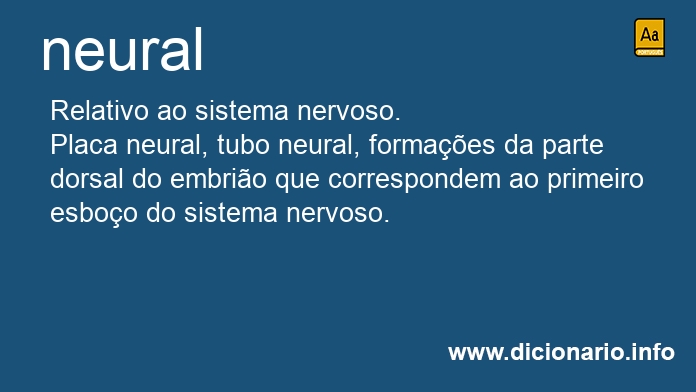 Significado de neural