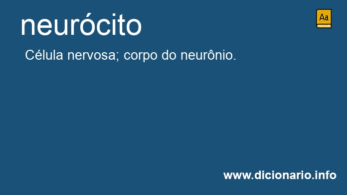 Significado de neurcito