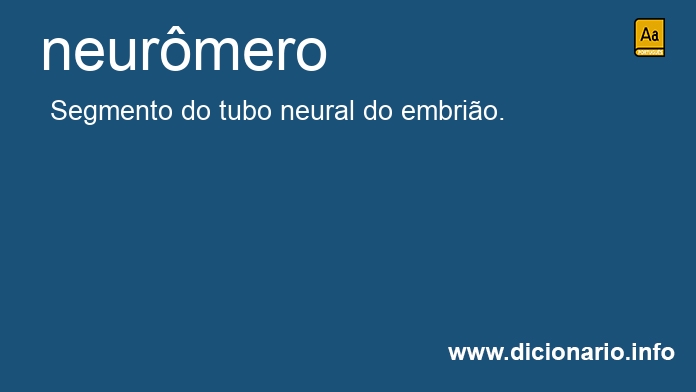 Significado de neurmero