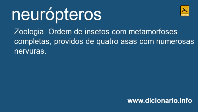 Significado de neurpteros