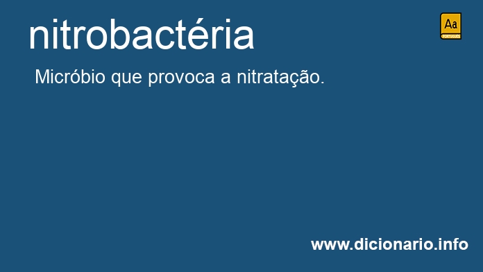 Significado de nitrobactria