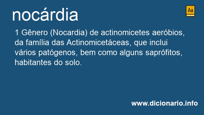 Significado de nocrdia