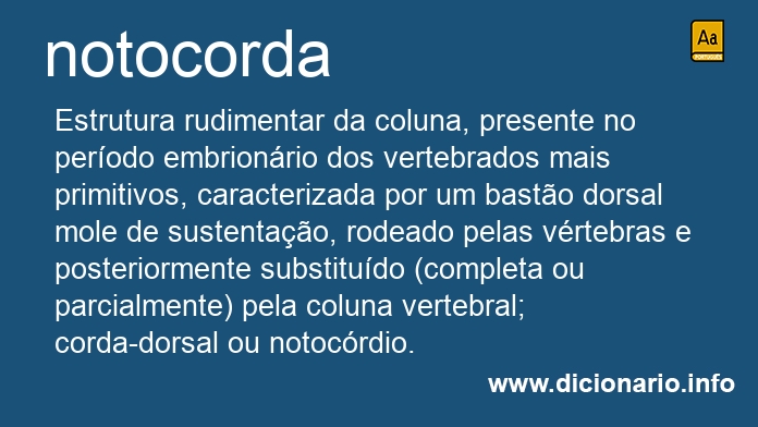 Significado de notocorda