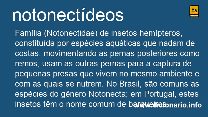 Significado de notonectdeos