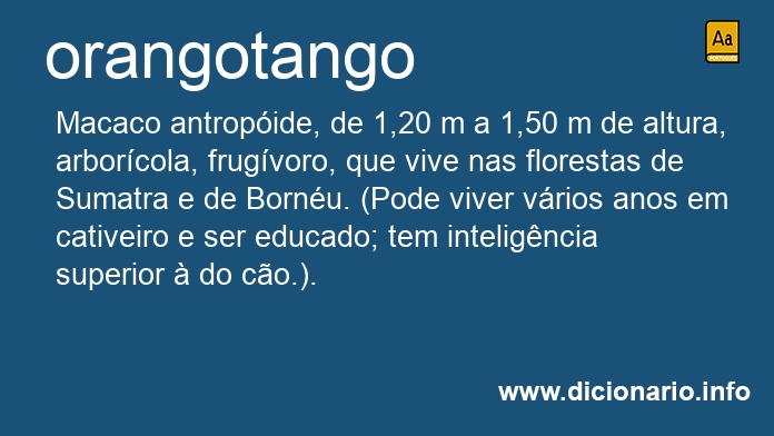 Significado de orangotango
