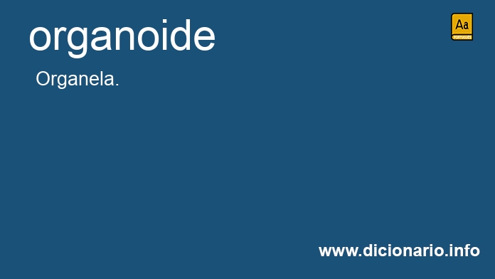 Significado de organoide