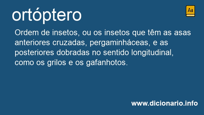 Significado de ortptero
