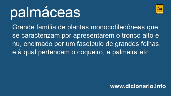 Significado de palmceas
