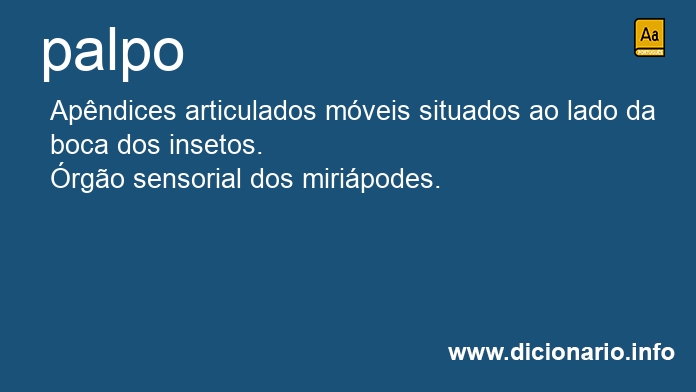 Significado de palpos