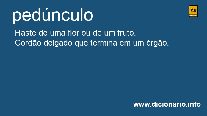 Significado de pednculo