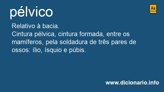 Significado de plvico