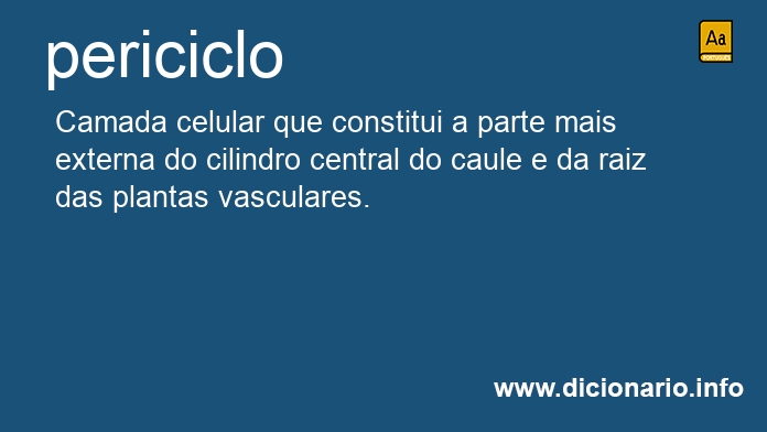 Significado de periciclo
