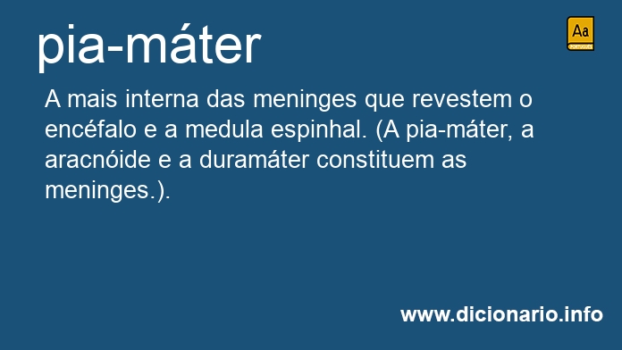 Significado de pia-mter