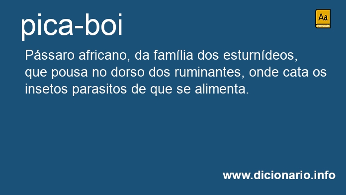 Significado de pica-boi