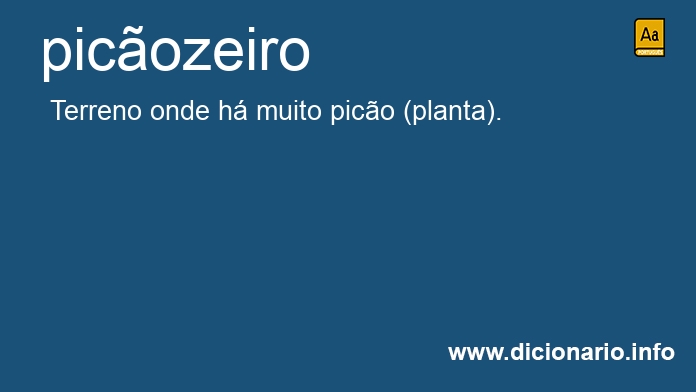 Significado de picozeiro