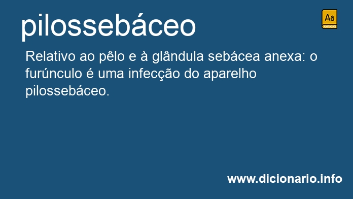 Significado de pilossebceo