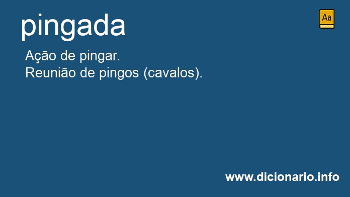 Significado de pingadas