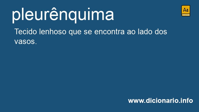 Significado de pleurnquima