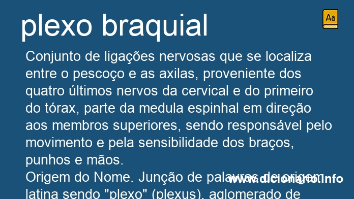 Significado de plexo braquial