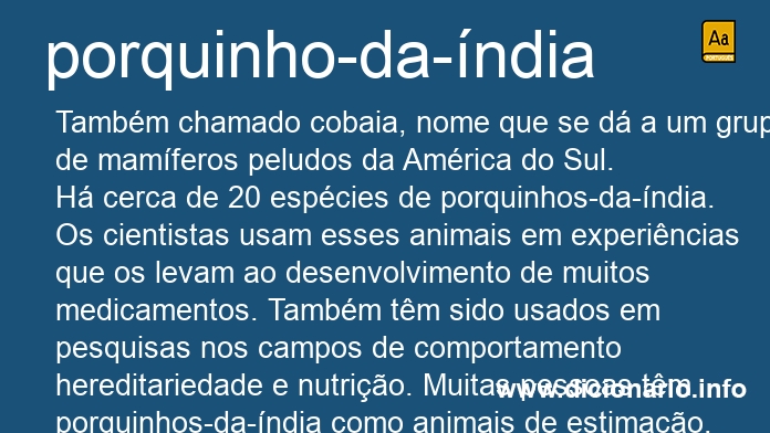 Significado de porquinho-da-ndia