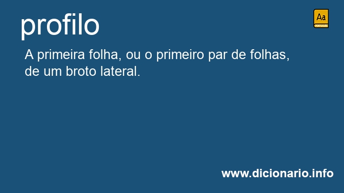 Significado de profilo