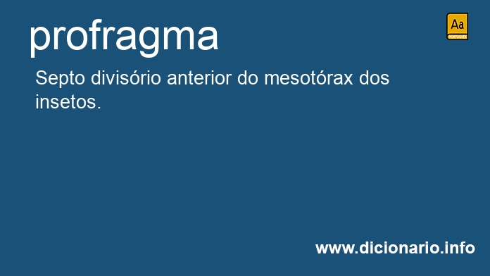 Significado de profragma