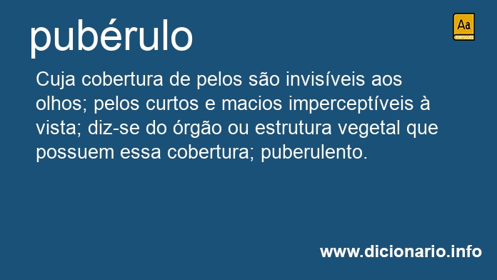 Significado de pubrula