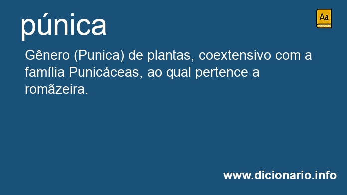 Significado de pnica